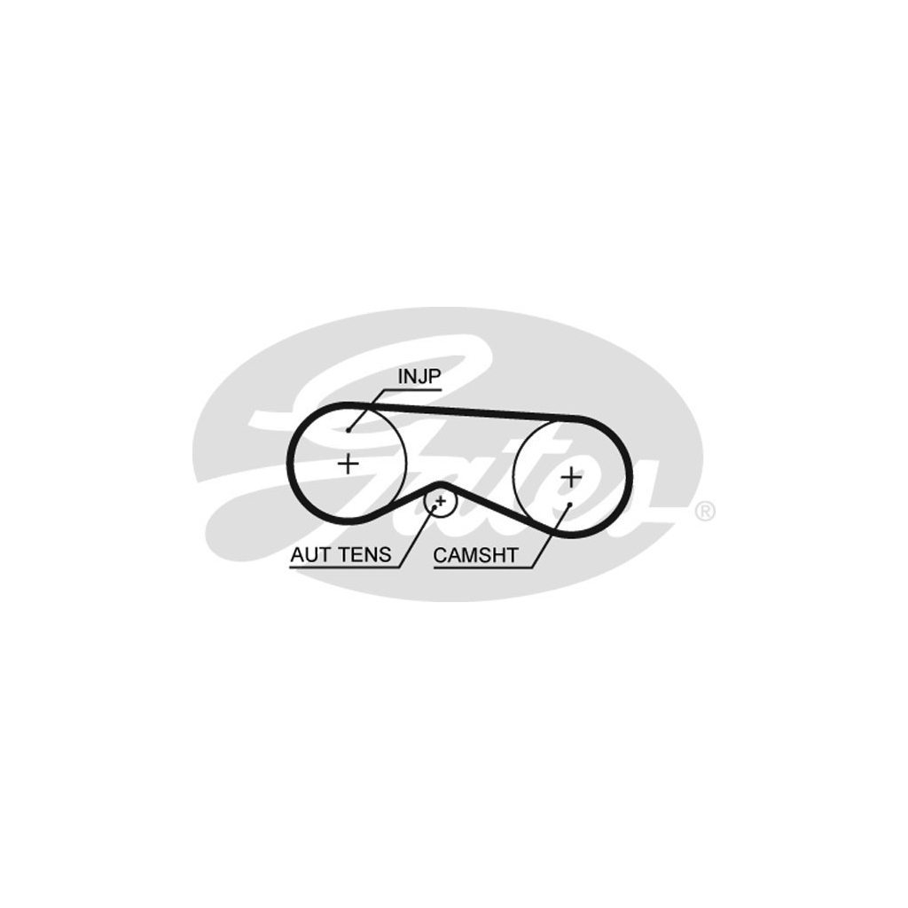 Ремінь ГРМ Gates 5531XS - зображення 1