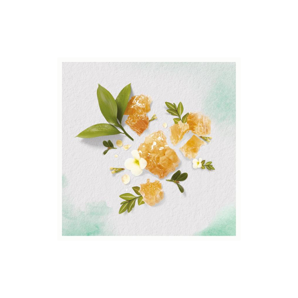 Шампунь Herbal Essences Мед мануки 400 мл (8001841288376) - зображення 2