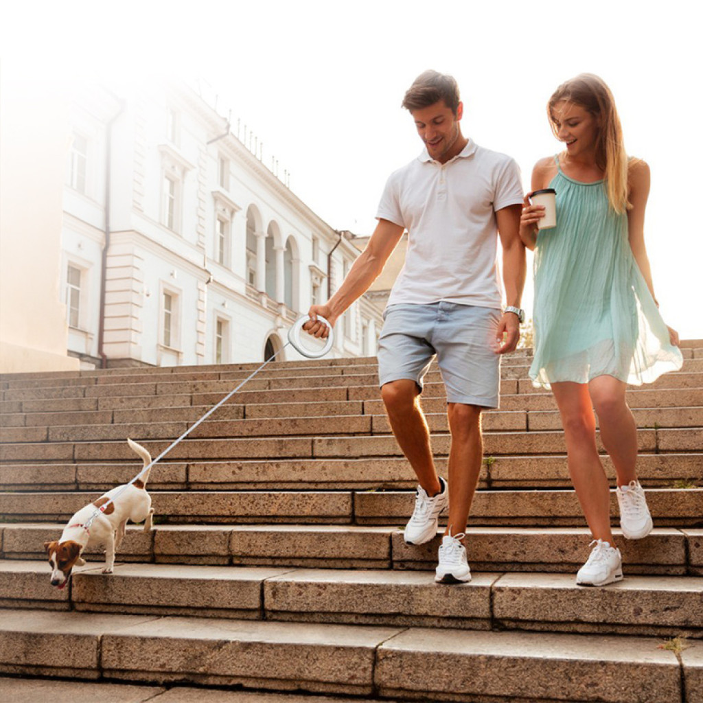 Повідець для собак WAUDOG R-leash світловідбиваюча стрічка XS-M до 40 кг 2.9 м білий (812715) - изображение 10