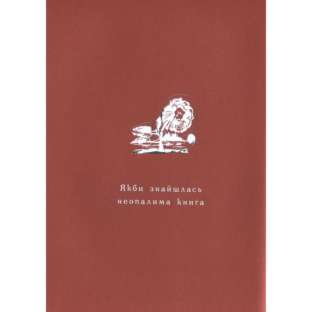 Книга Маруся Чурай - Ліна Костенко А-ба-ба-га-ла-ма-га (9786175851456) - зображення 4