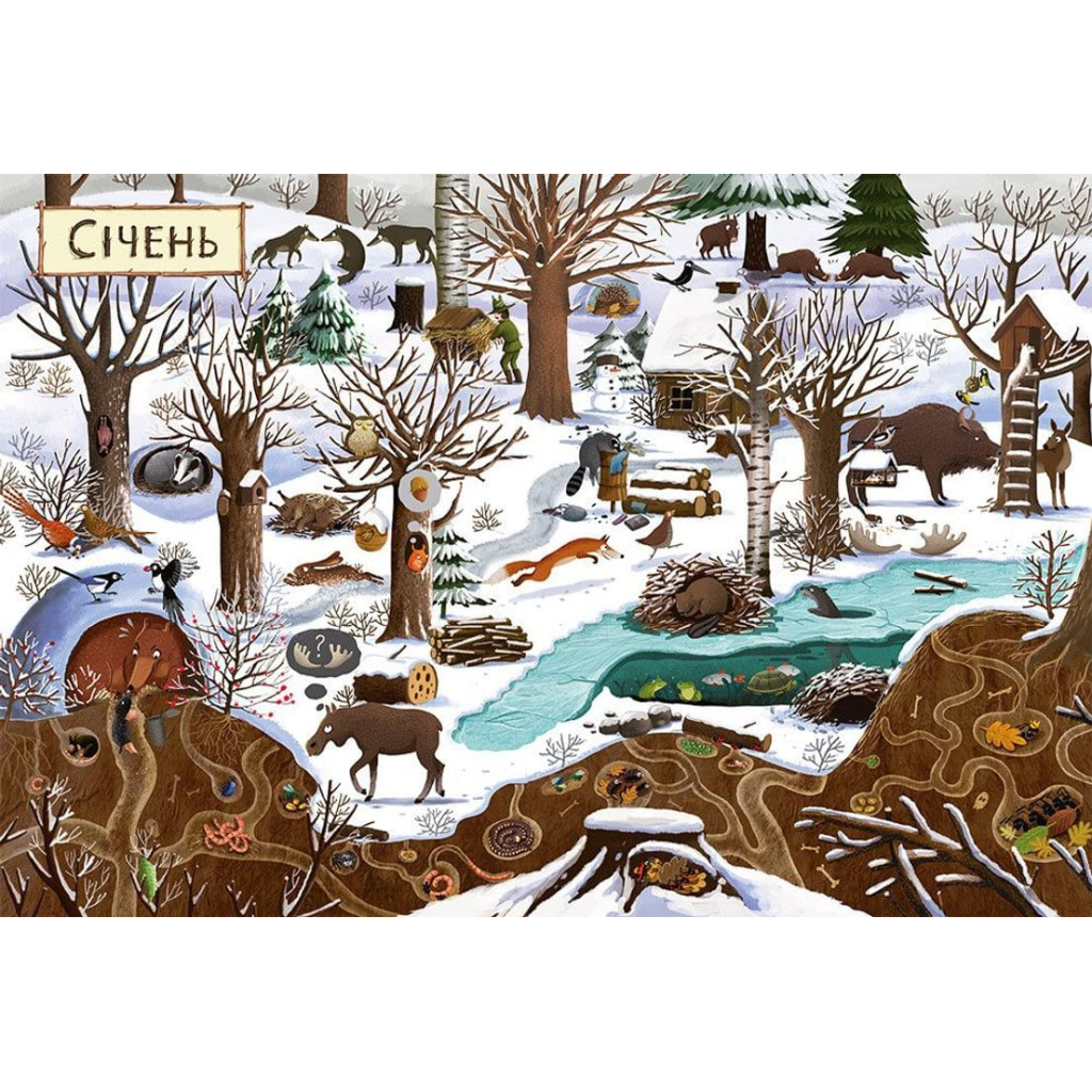 Книга Рік у лісі - Емілія Дзюбак Видавництво Старого Лева (9786176792789) - зображення 6