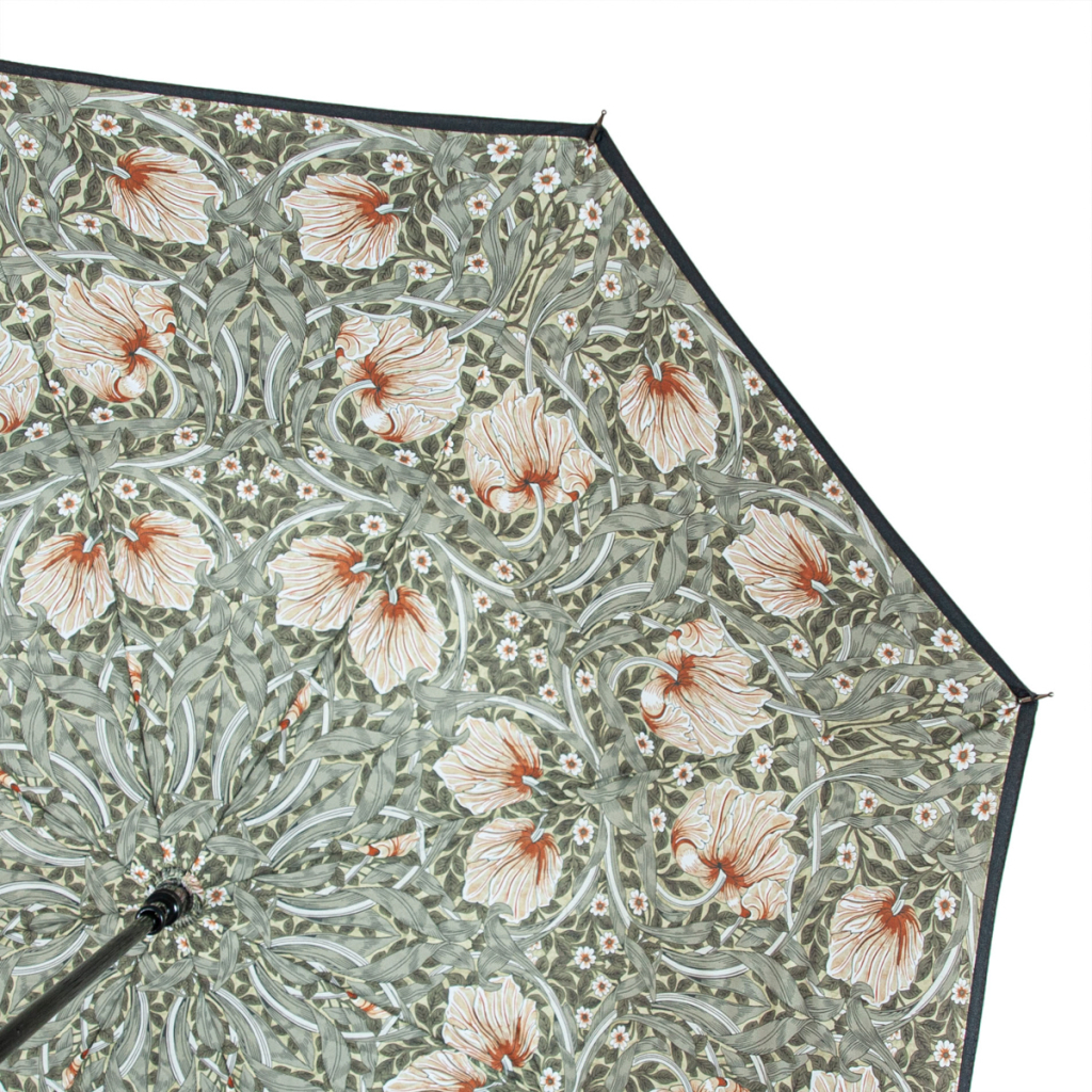 Парасоля Fulton L856-041062 Morris & Co. Bloomsbury Pimpernel Bayleaf Manilla (L856-041062) - зображення 9