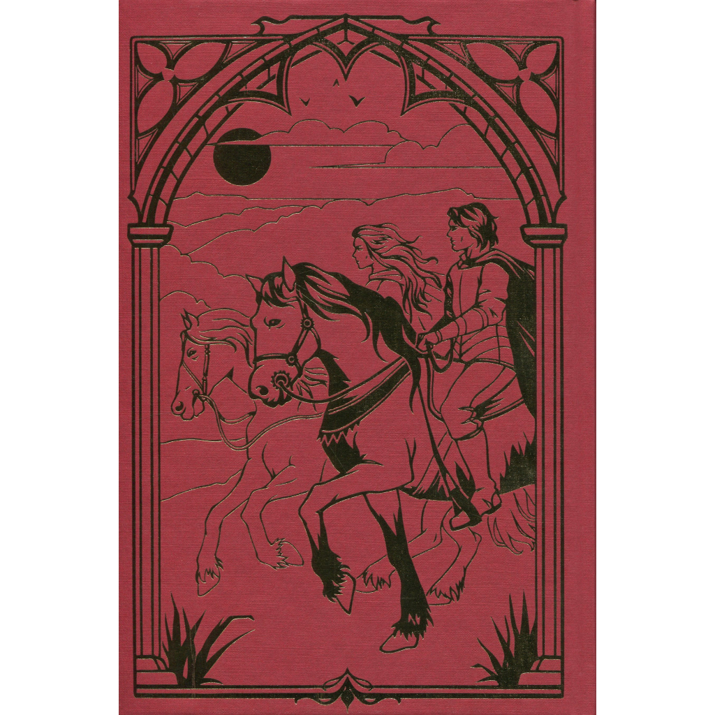 Книга Обітниця злодіїв. Дилогія "Танець злодіїв". Книга 2 - Мері І. Пірсон Видавництво РМ (9786178426712) - зображення 4