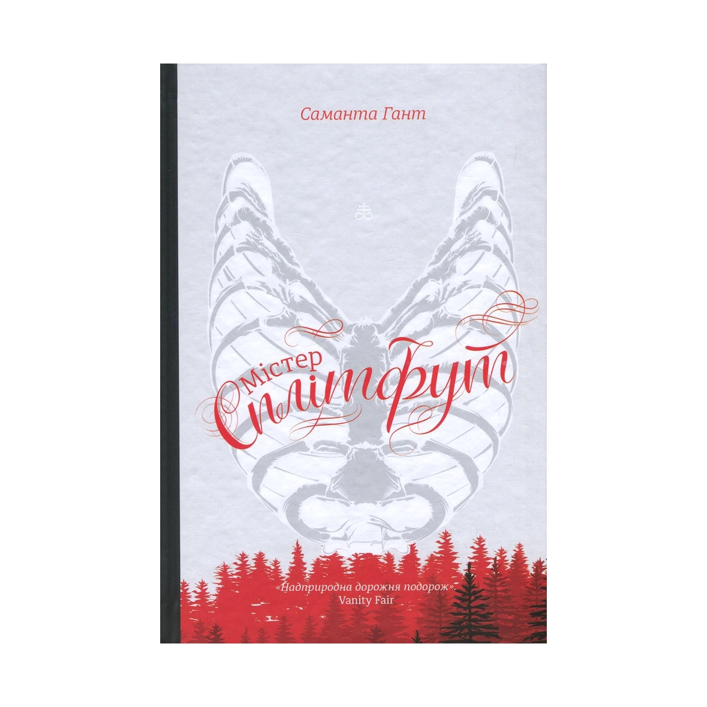 Книга Містер Сплітфут - Саманта Гант #книголав (9786177563296) - зображення 1