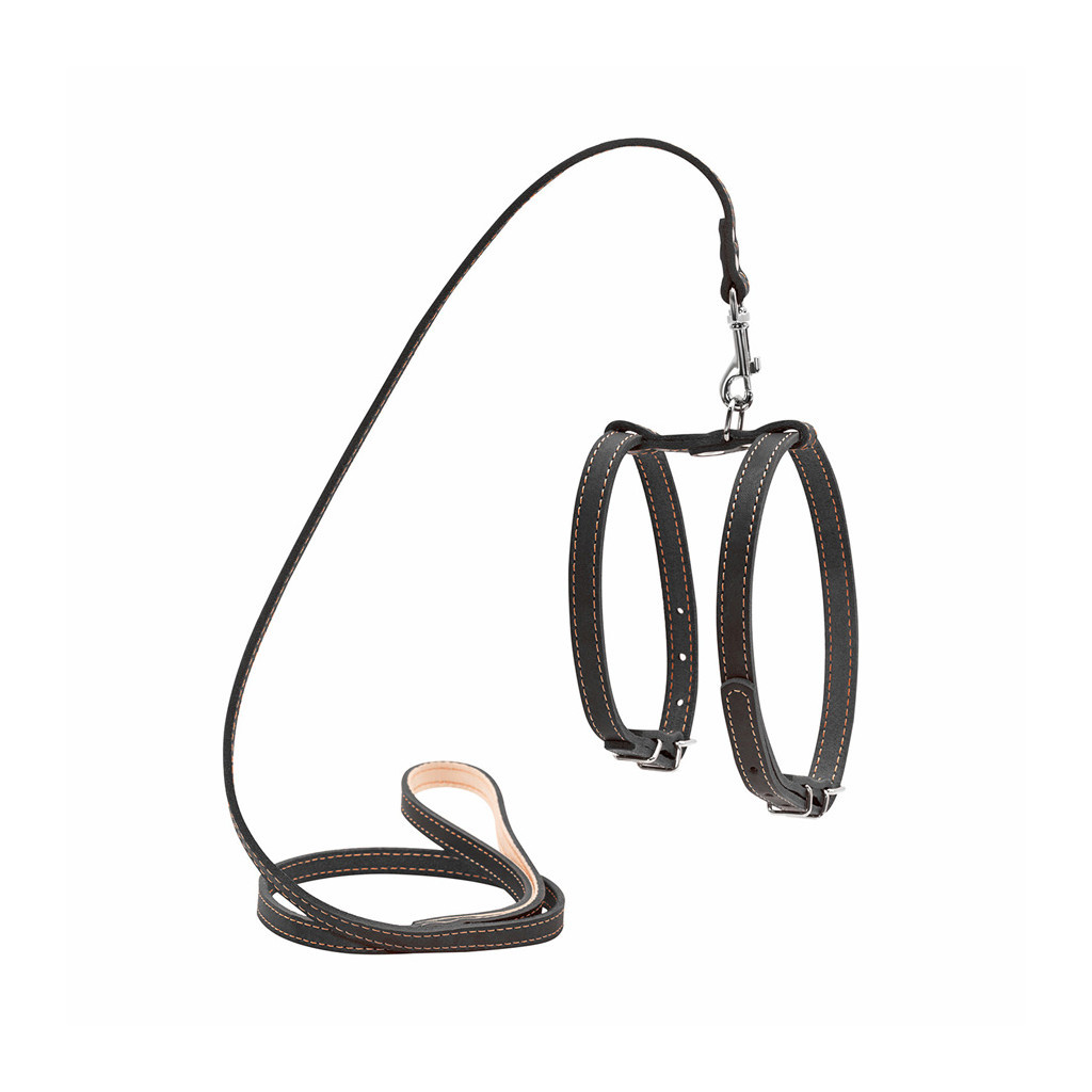 Шлея для собак Collar з повідцем для малих порід Ш 14 мм Д 122 см чорна (05471) - зображення 1