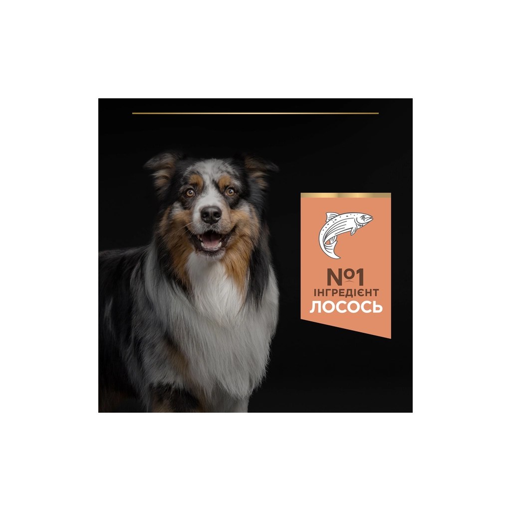 Сухий корм для собак Purina Pro Plan Dog Medium Adult Sensitive Skin з лососем і рисом 14 кг (7613035120464) - зображення 6