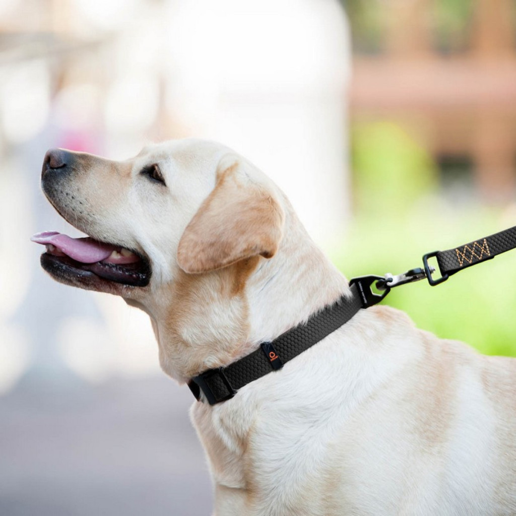 Повідець для собак Evolutor 210 см 25 мм чорний (42121) - изображение 10