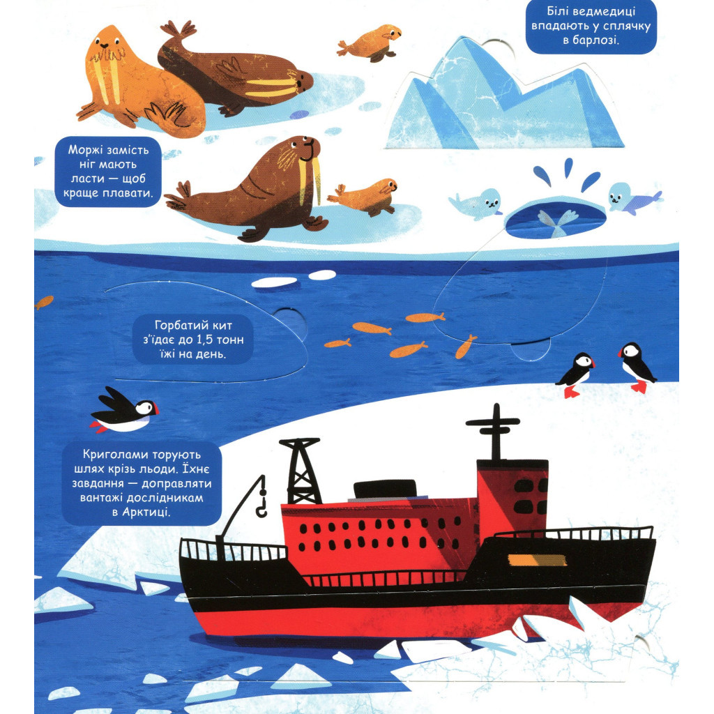 Книга Маленькі дослідники. Погода і природа #книголав (9786177563852) - зображення 10