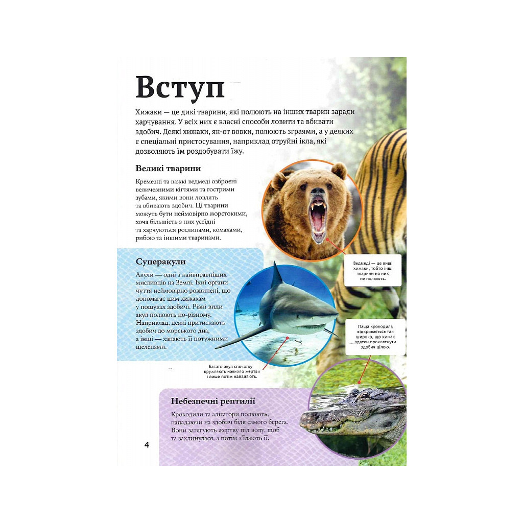 Книга Дитяча енциклопедія хижаків - Алекс Вульф, Клер Філіп Vivat (9789669828514) - зображення 4