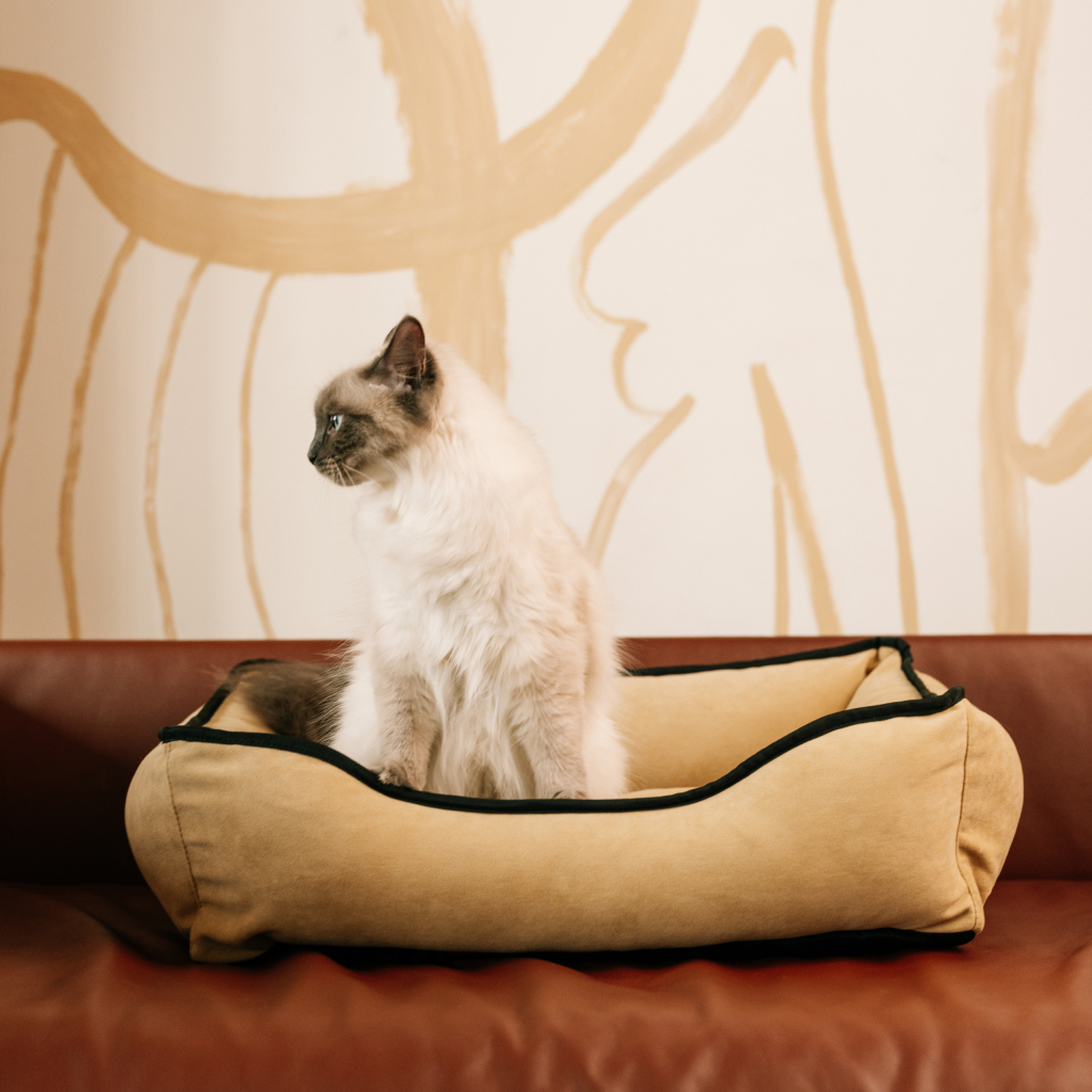 Лежак для тварин Savory Pure Zen S 65x50 см (2700000049372) - зображення 3