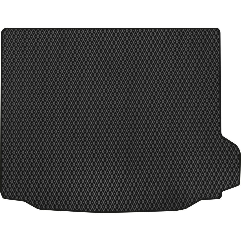 Килимок в багажник EVAtech BMW X3 (G01) 2017+ 3 покоління SUV US (BM22380B1RBB) - зображення 1