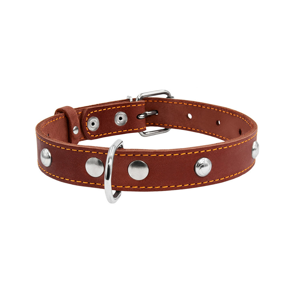 Нашийник для тварин Collar одинарний з прикрасами Ш 25 мм Д 38-50 см коричневий (02236) - зображення 2