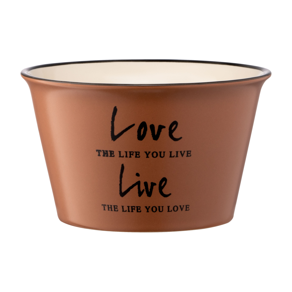 Бульйонниця Ardesto Way of Life 550 мл Brown (AR3479BR) - зображення 3