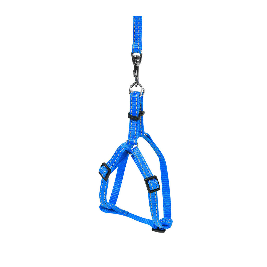 Шлея для собак Dog Extreme з нейлону регульована з повідцем Ш 15 мм В:40-55 см блакитна (07032) - зображення 3