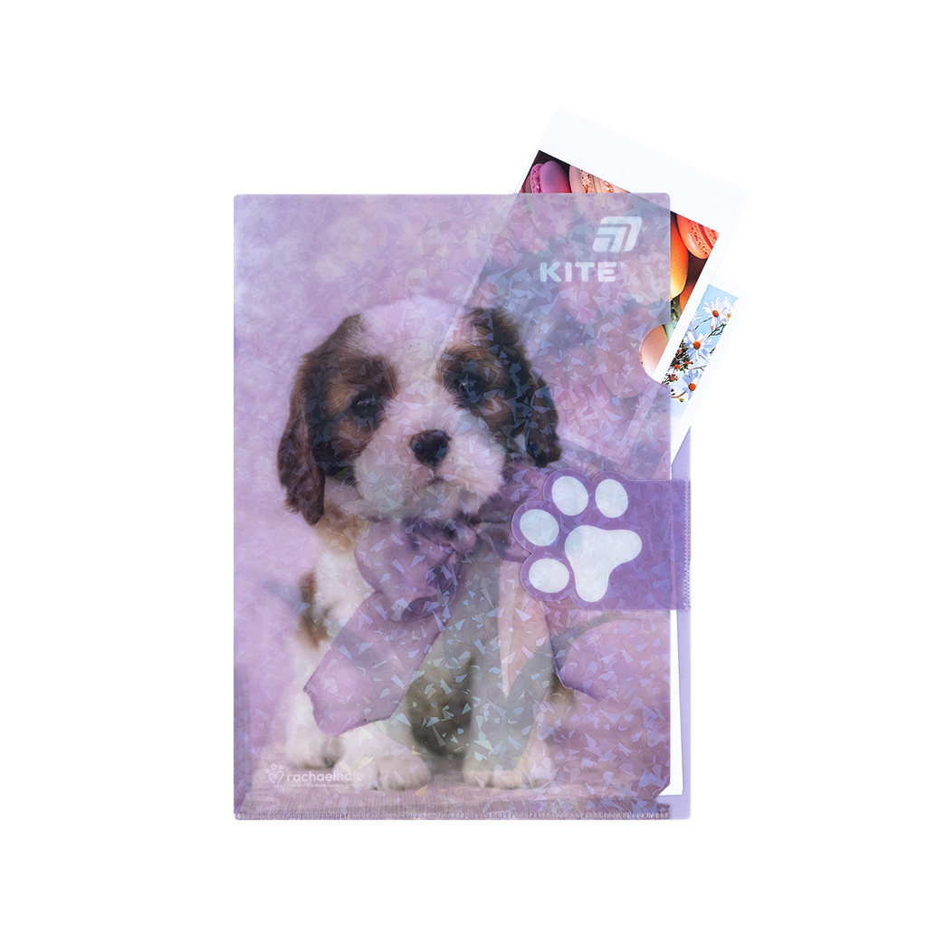 Папка - куточок Kite із клапаном A4 Rachael Hale (R25-248) - изображение 5