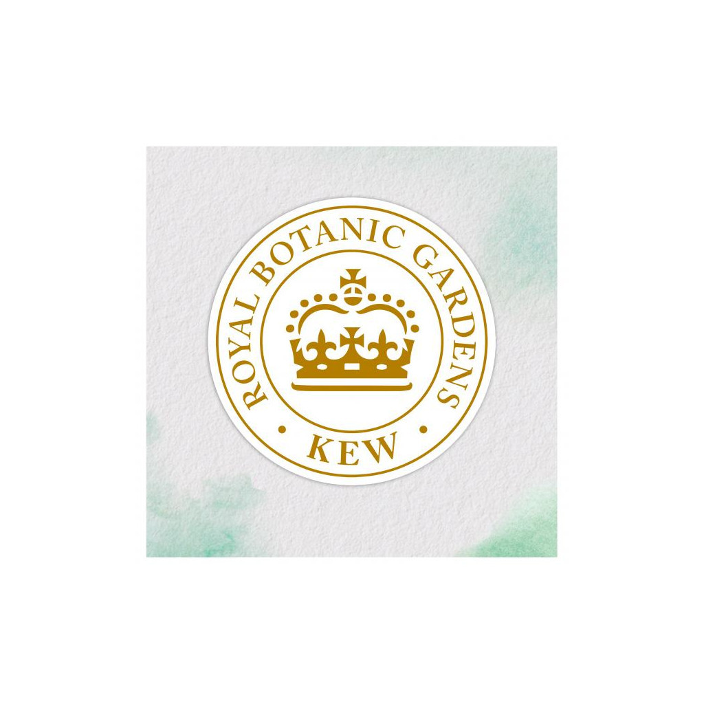 Шампунь Herbal Essences Пасифлора та рисове молоко 400 мл (8001841288215) - зображення 4