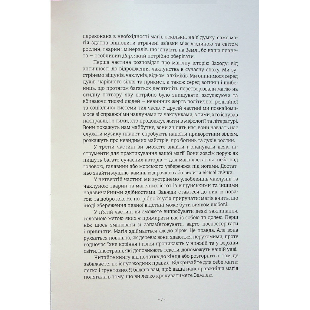 Книга Чарівники й чаклунки: посібник із магії для початківців - Франческа Маттеоні #книголав (9786178286125) - зображення 6
