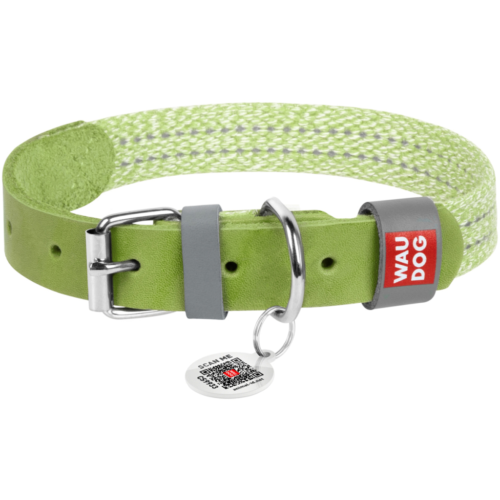 Нашийник для тварин WAUDOG Classic зі шкіри та відновленої бавовни S 15 мм х 27-36 см салатовий (58905) - зображення 1