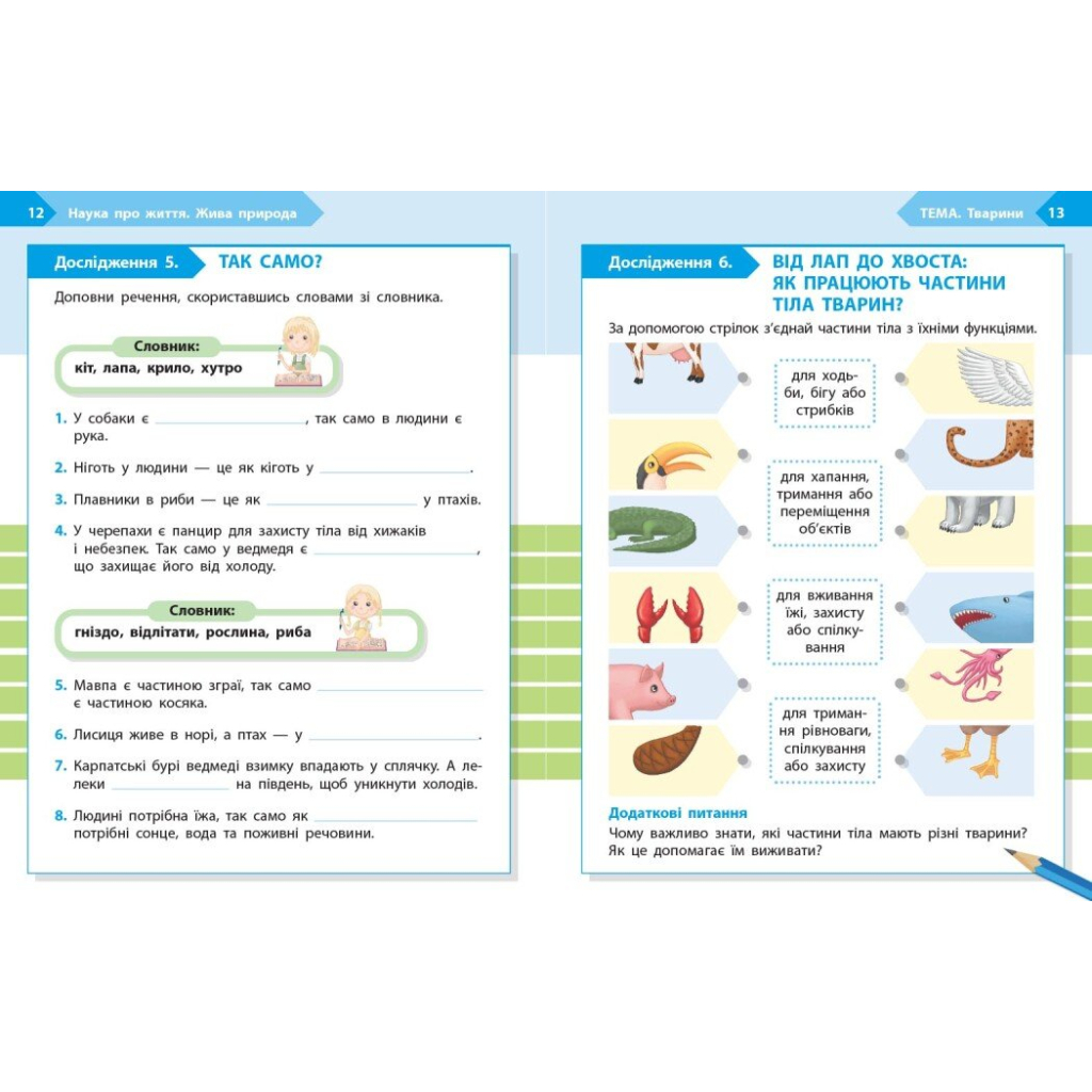Робочий зошит STEM-старт. 2 клас. Наука про життя - І.В. Потапенко, О.А. Дубовик, О.В. Онопрієнко Ранок (9786170995490) - зображення 4