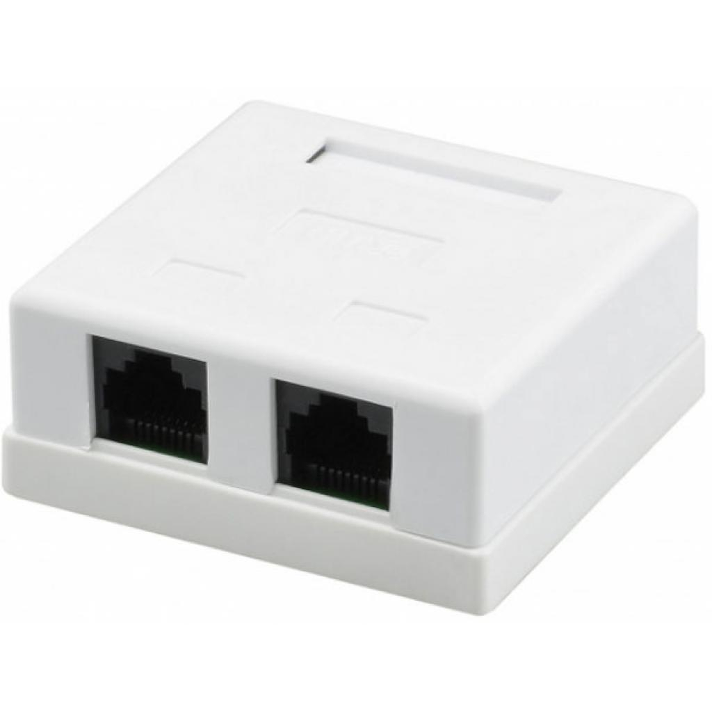 Комп'ютерна розетка RJ45x2 UTP cat.5e Kingda (KD-WP6035-C5e) - зображення 1