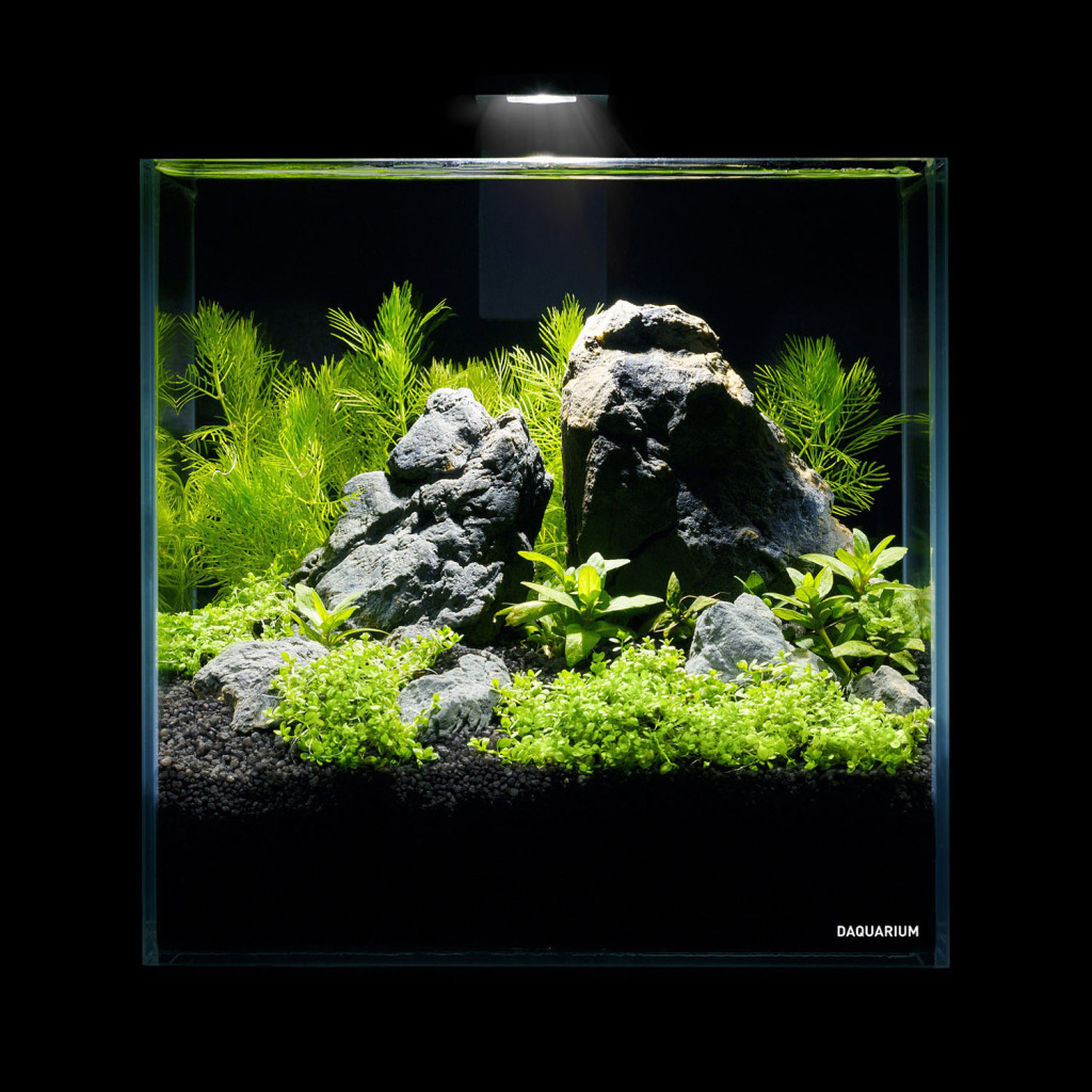 Акваріум Aqualighter набір DAQUARIUM Pico Set 170 мм 5 л (7141) - зображення 4