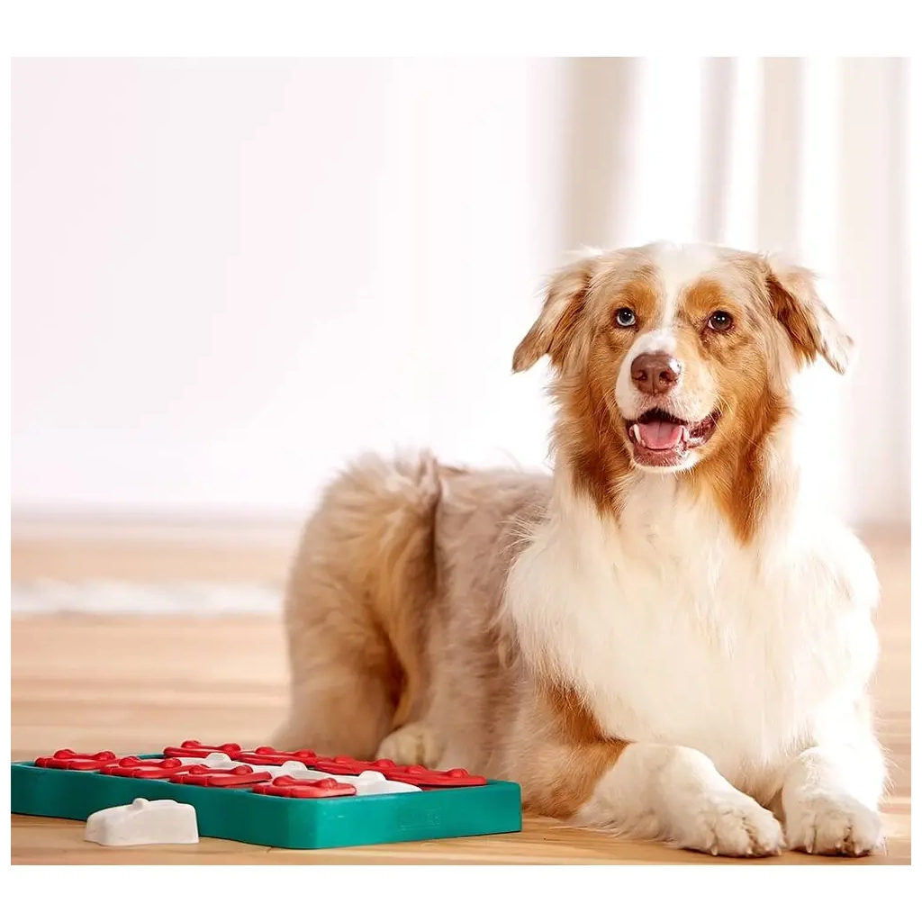 Іграшка для собак Nina Ottosson Brick (0700603673334) - зображення 3