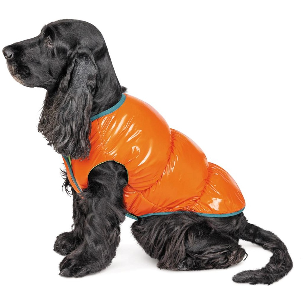 Жилет для тварин Pet Fashion "SPRING" XS-2 жовтогарячий (4823082420452) - зображення 2