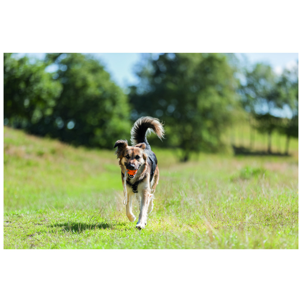 Іграшка для собак Trixie М'яч на мотузці Плавучий Натуральна гума Помаранчевий 17 см 4.5 см 35 см (4011905334813) - зображення 3