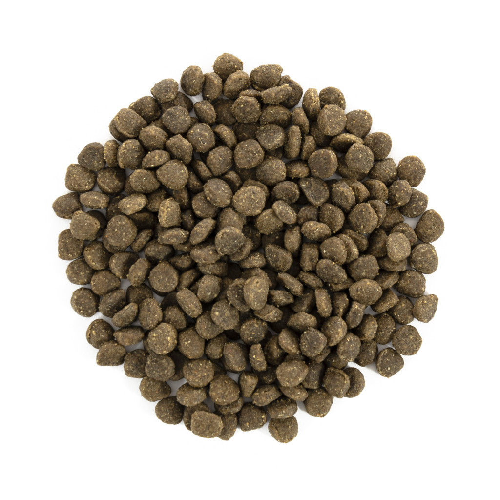 Сухий корм для собак Brit Care GF Mini Adult Lamb 7 кг (8595602520121) - зображення 4