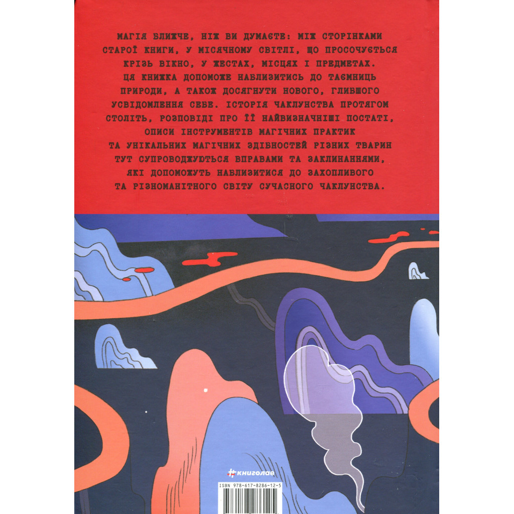 Книга Чарівники й чаклунки: посібник із магії для початківців - Франческа Маттеоні #книголав (9786178286125) - зображення 2