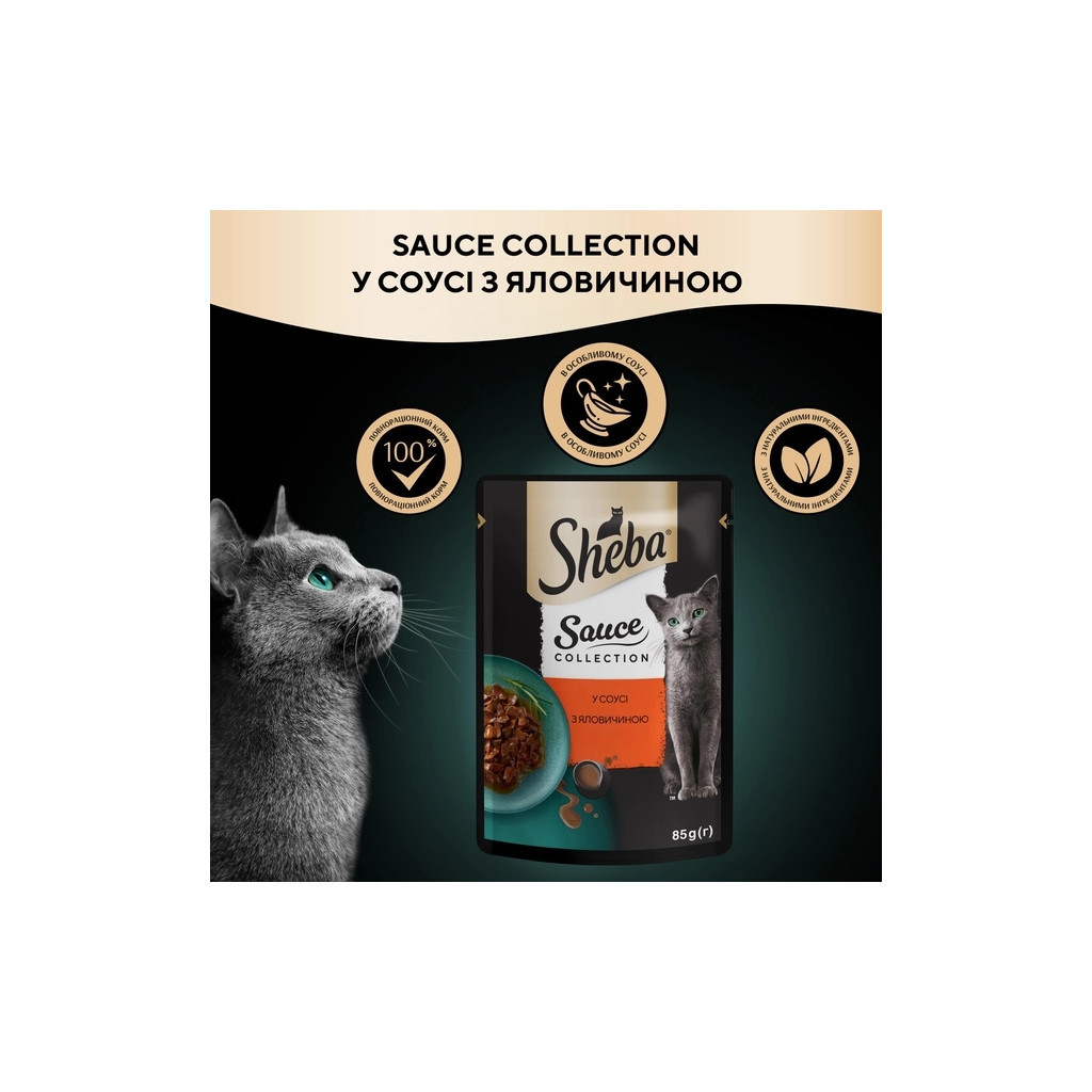 Вологий корм для собак Sheba з яловичиною в соусі 85 г (4770608264406) - зображення 4