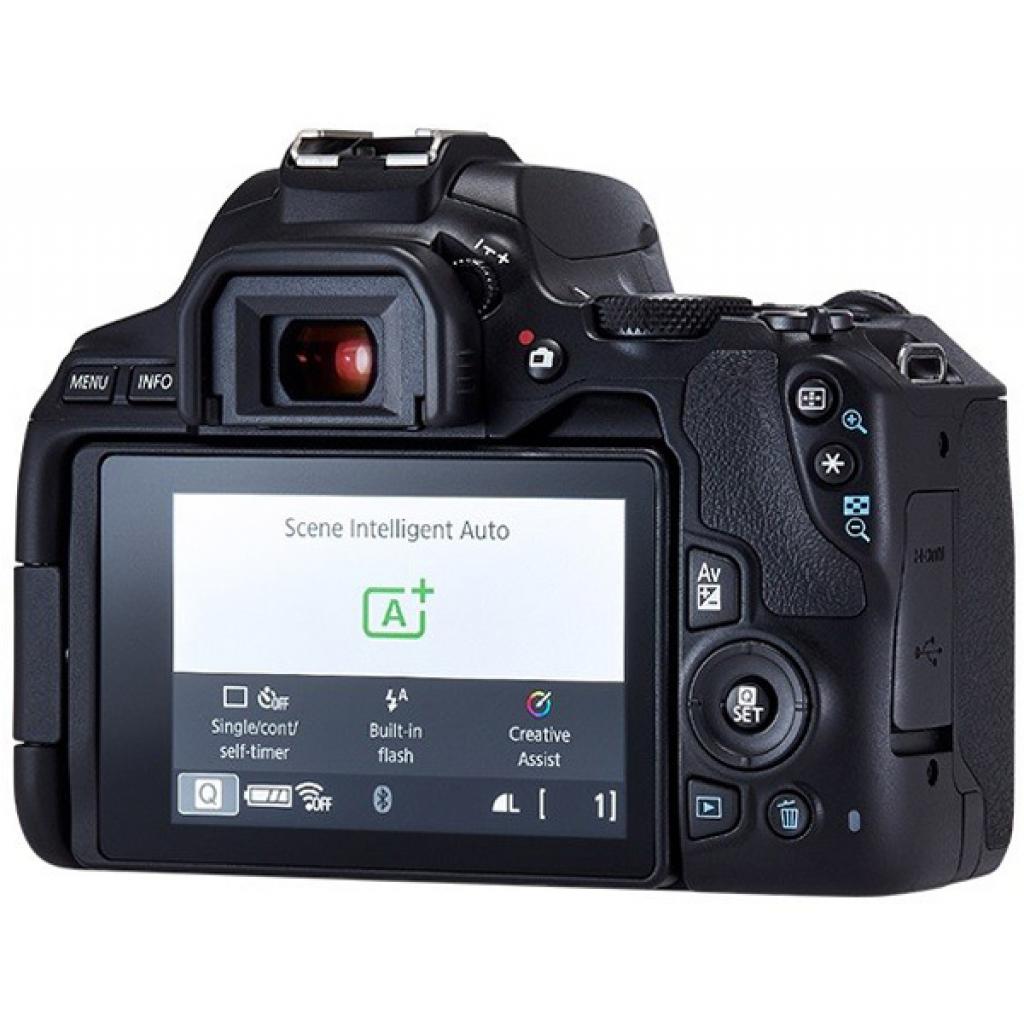 Цифровий фотоапарат Canon EOS 250D 18-55 DC III Black kit (3454C009) - зображення 7
