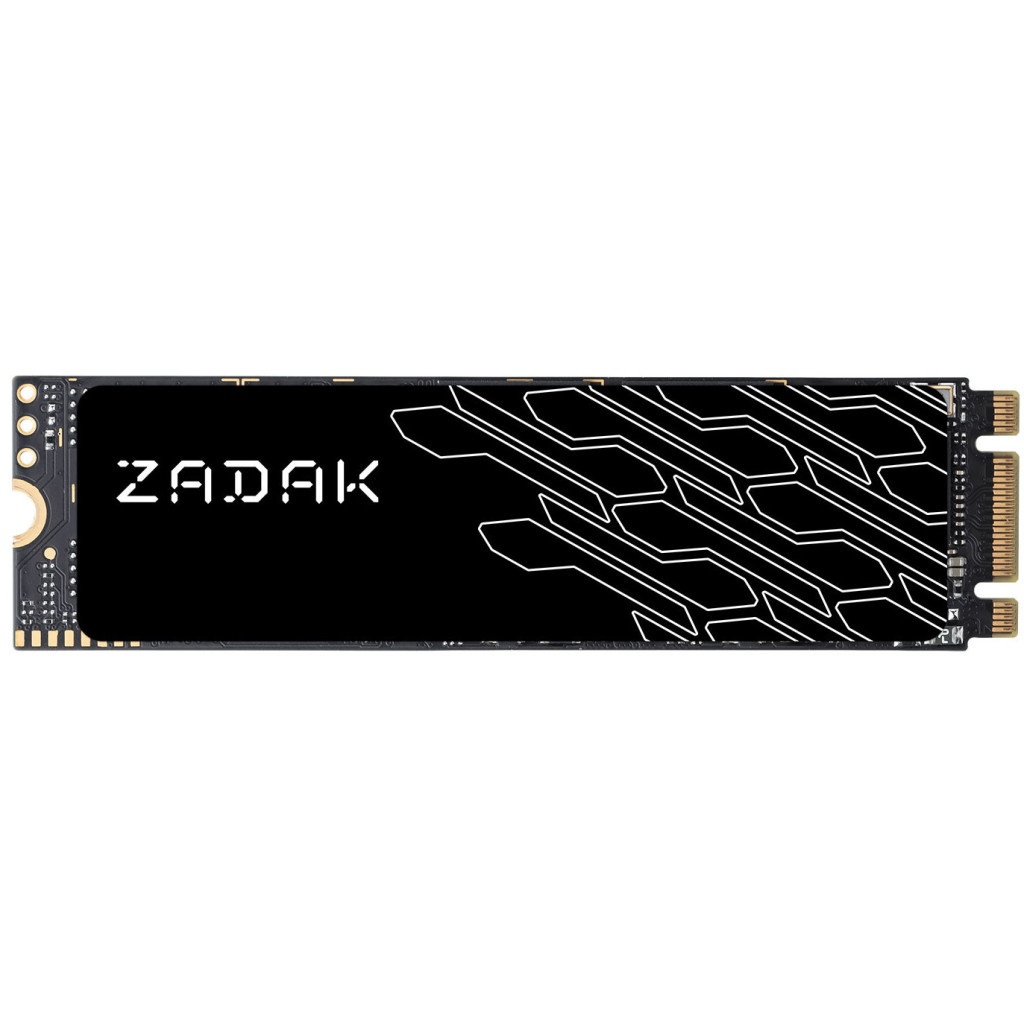 Накопичувач SSD M.2 2280 256GB Zadak (ZS256GTWSG3-1) - зображення 1