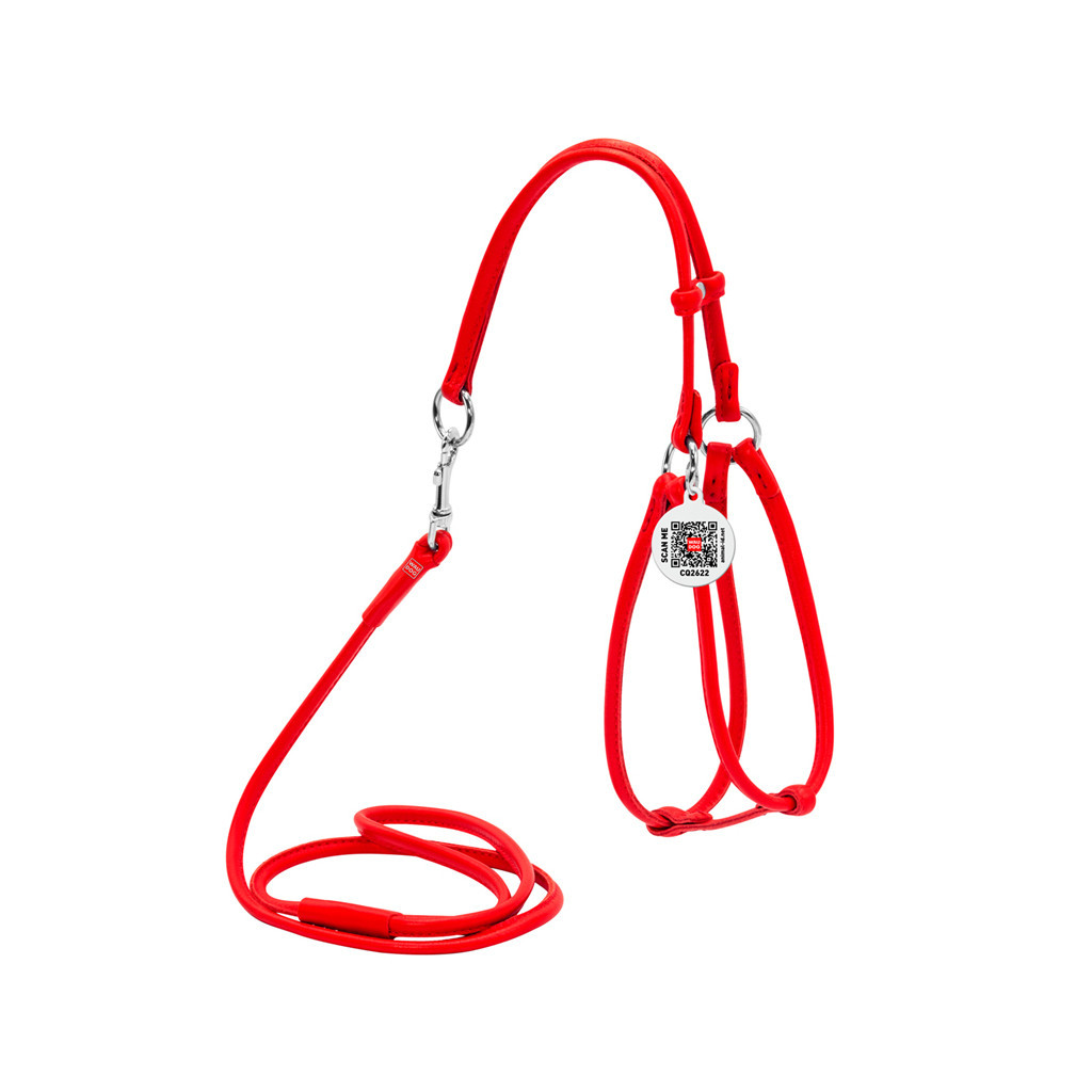 Шлея для собак WAUDOG Glamour кругла, з повідцем XS червона (34023) - зображення 2