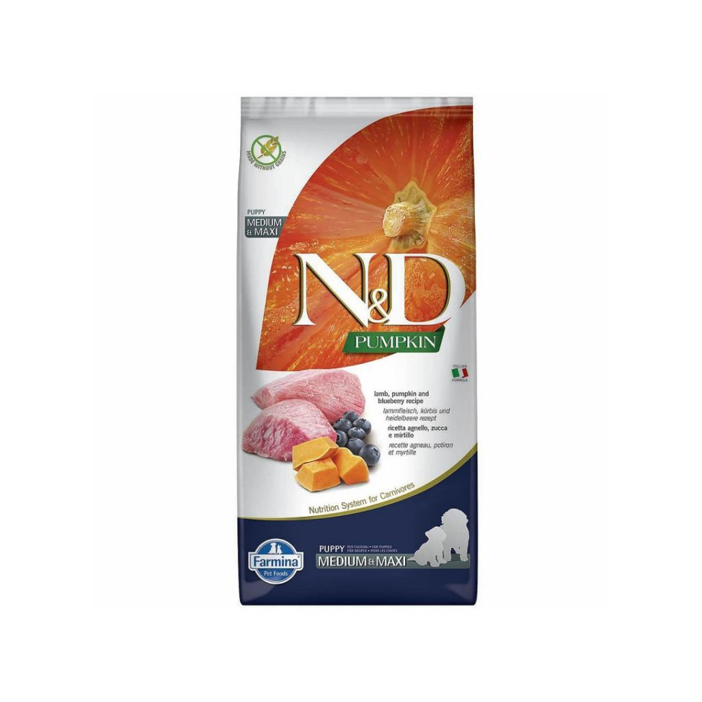 Сухий корм для собак Farmina Grain Free PUPPY MEDIUM&MAXI з гарбузом, ягням, чорницею 12 кг (8010276033345) - зображення 1