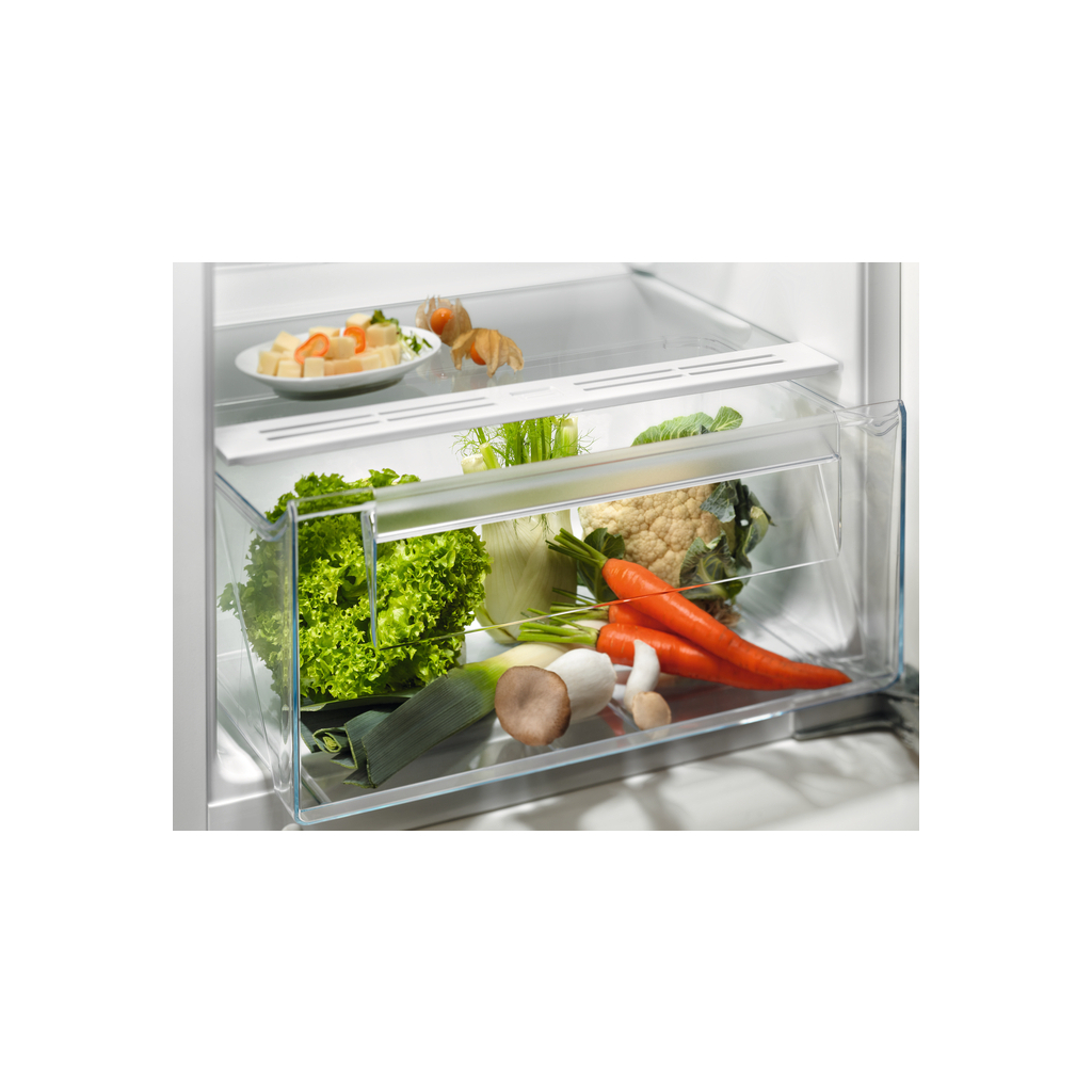 Холодильник Electrolux LFB3AE12S - зображення 4