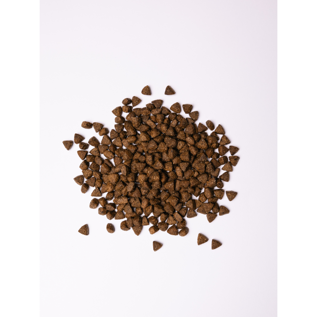 Сухий корм для собак Savory All Breed Sterilised rich in Fresh Turkey 12 кг (4820232631515) - зображення 4