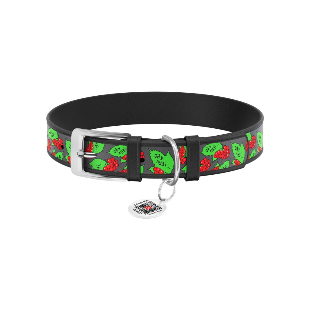 Нашийник для тварин WAUDOG Design з QR паспортом "Калина" XS Ш 12 мм Д 20-28 см (чорний) (3602-0228-01) - зображення 1
