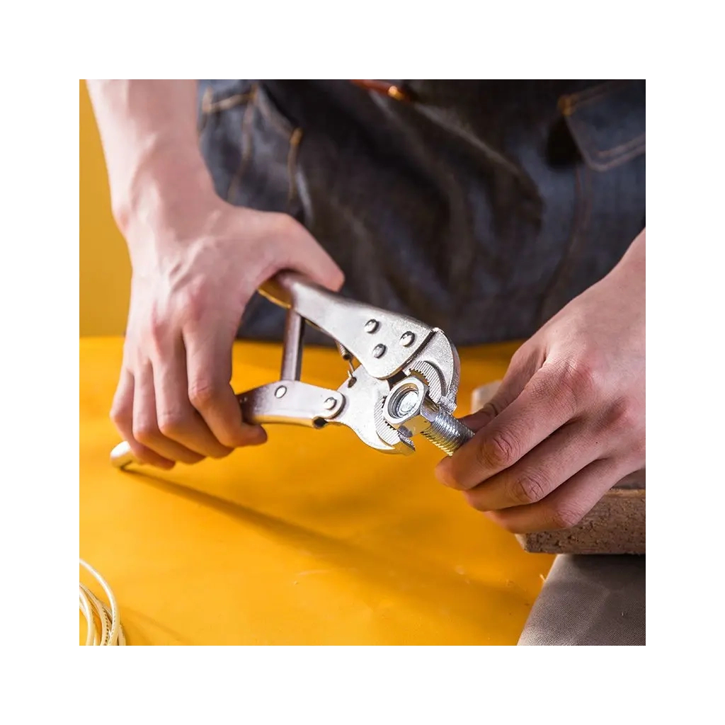 Плоскогубці Deli вигнуті 10" (EDL2001) - picture 3