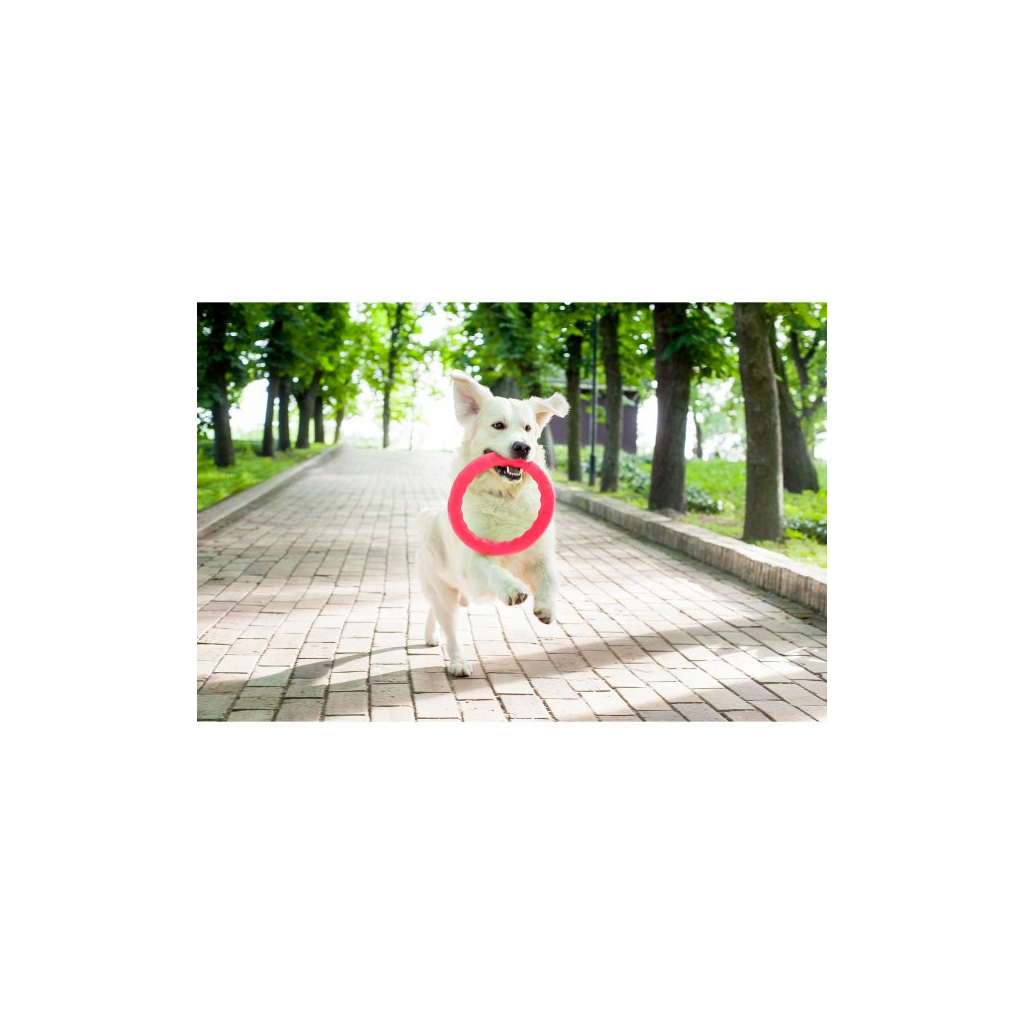 Іграшка для собак Collar PitchDog Кільце для апортування 20 см рожеве (62377) - зображення 4