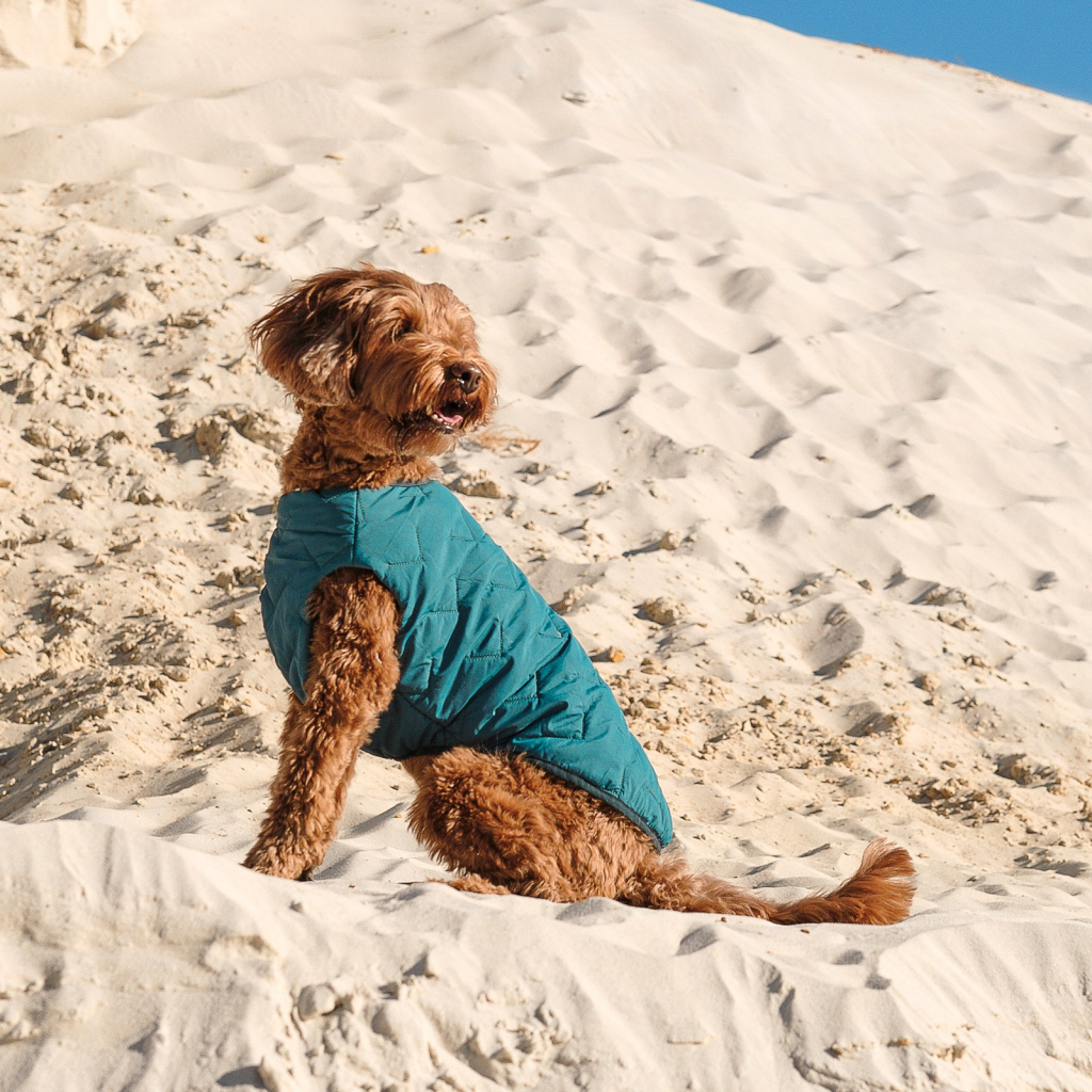 Жилет для тварин Pet Fashion E.Vest морська хвиля S (4823082424139) - зображення 5