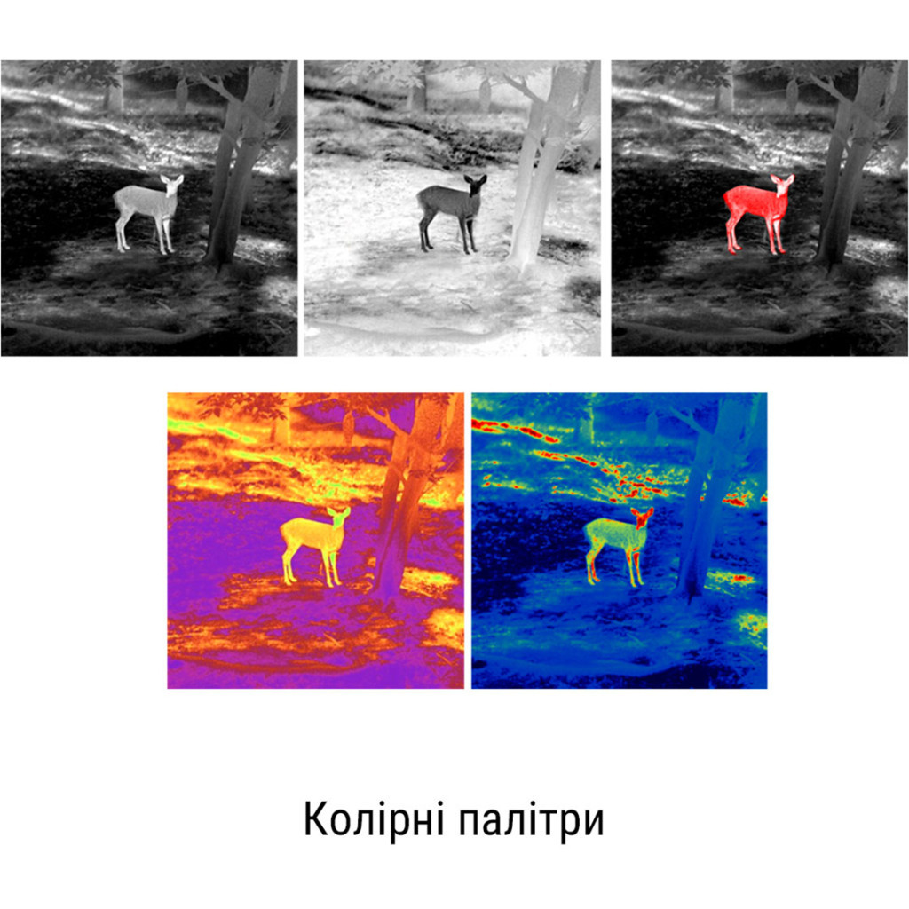 Монокуляр Guide Тепловізійний TD210 256x192px 10mm (747101) - зображення 11