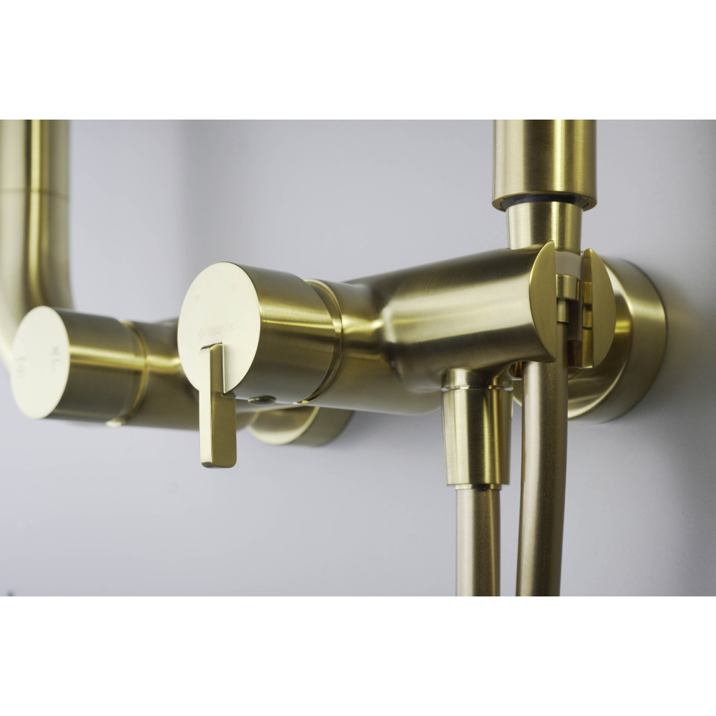 Душовий гарнітур Deante Silia зі змішувачем для душу (NQS_R4XM) - picture 5