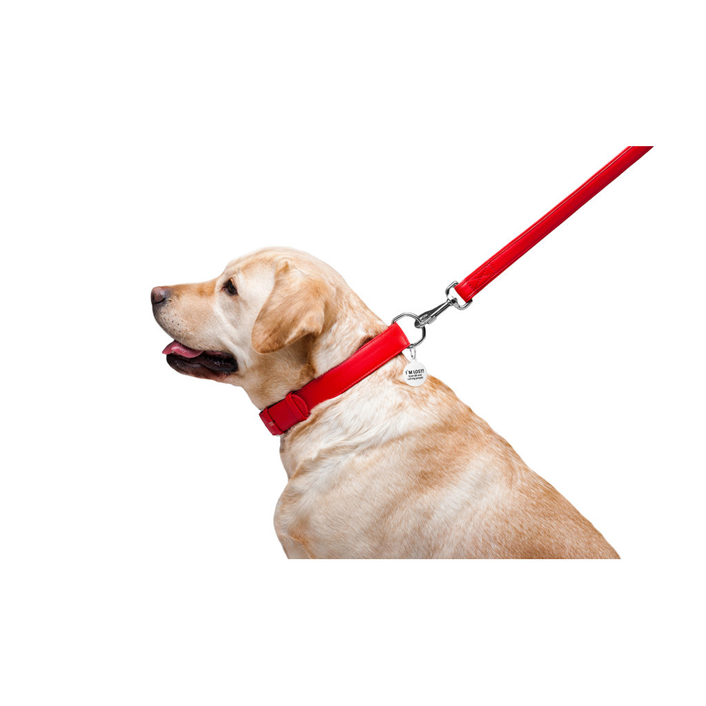 Повідець для собак WAUDOG Glamour шкіряний M-XXL червоний (33763) - зображення 6