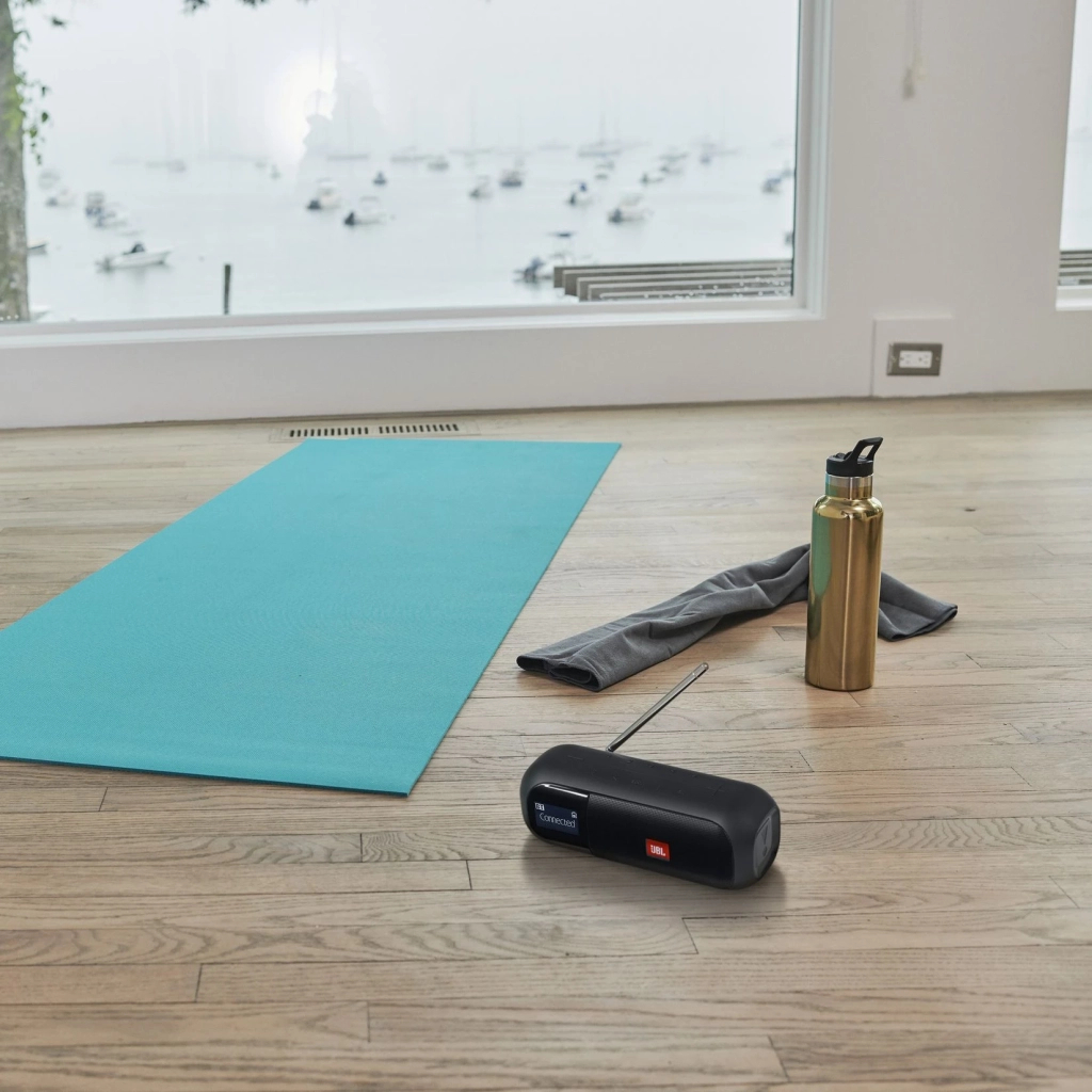 Акустична система JBL Tuner 2 FM Black (JBLTUNER2FMBLK) - зображення 9