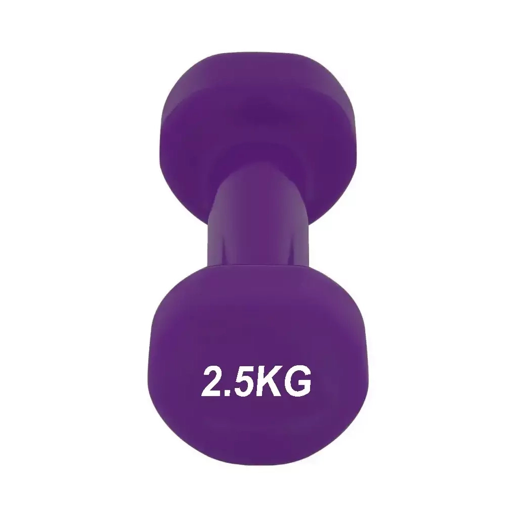 Гантель PowerPlay 4125 Achilles 2.5 кг Фіолетова (PP_4125_2.5kg) - зображення 5