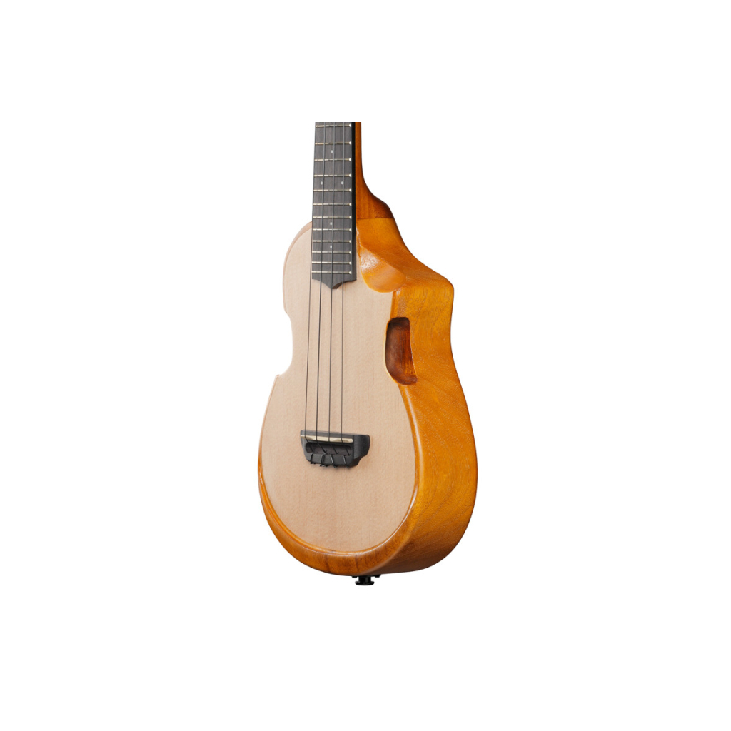 Укулеле Ibanez AUC10E OPN (234983) - изображение 8