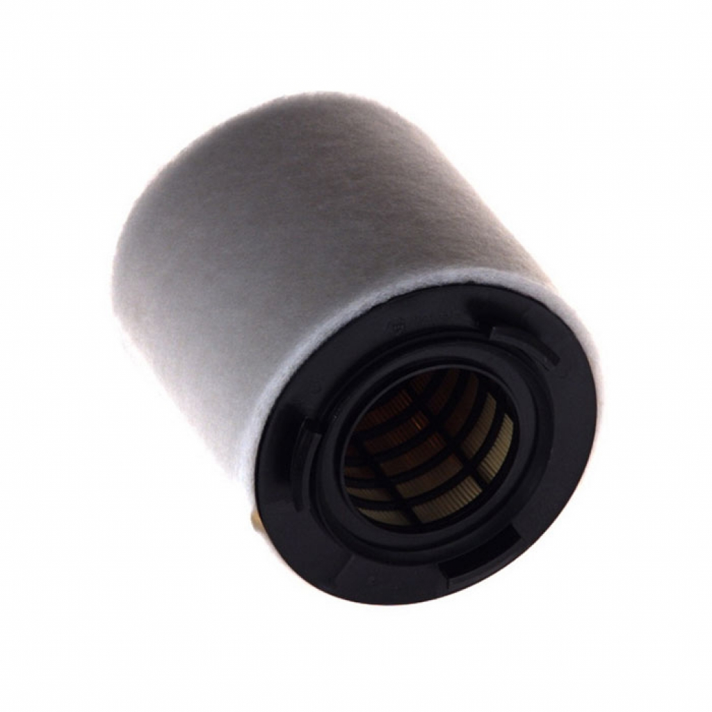 Повітряний фільтр для автомобіля Champion CAF100487C - зображення 1