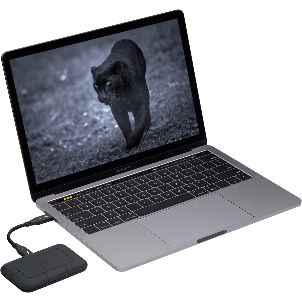 Накопичувач SSD USB Type-C 4TB Rugged Pro LaCie (STHZ4000800) - изображение 4