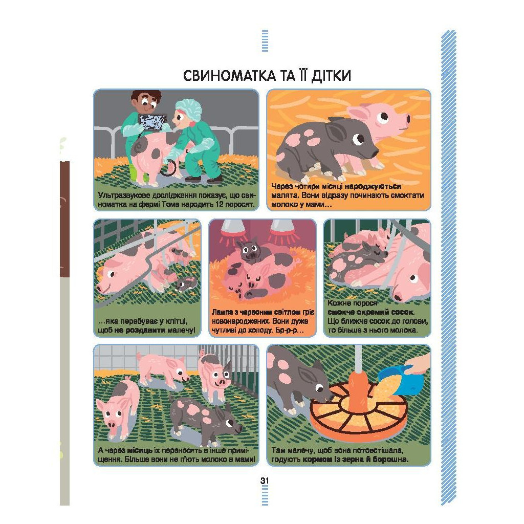 Книга На фермі. Енциклопедія для допитливих - Сесіль Югла #книголав (9786177820382) - зображення 11